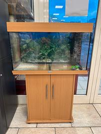 ACQUARIO