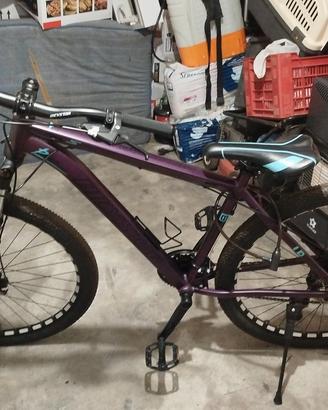 Bici muscolare
