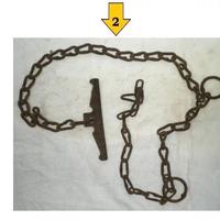 Catena da muro per animale toro mulo ferro battuto