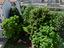 Immagine 26