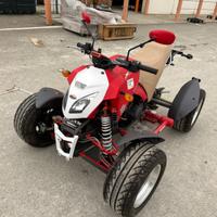 Quad 300cc