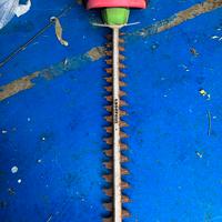 Tagliasiepi elettrico