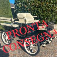 Carrozza per cavalli wagonet per doppio pony lunga