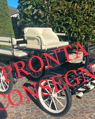 Carrozza per cavalli wagonet per doppio pony lunga