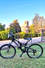 Bicicletta  da ragazzo