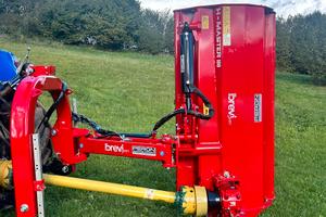 Trinciastocchi breviglieri