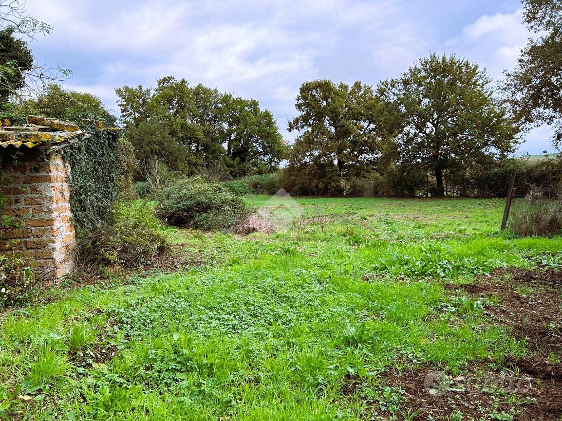 RUSTICO A SUTRI - Altro