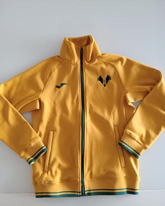 Felpa Joma Hellas Verona