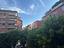 Immagine 9