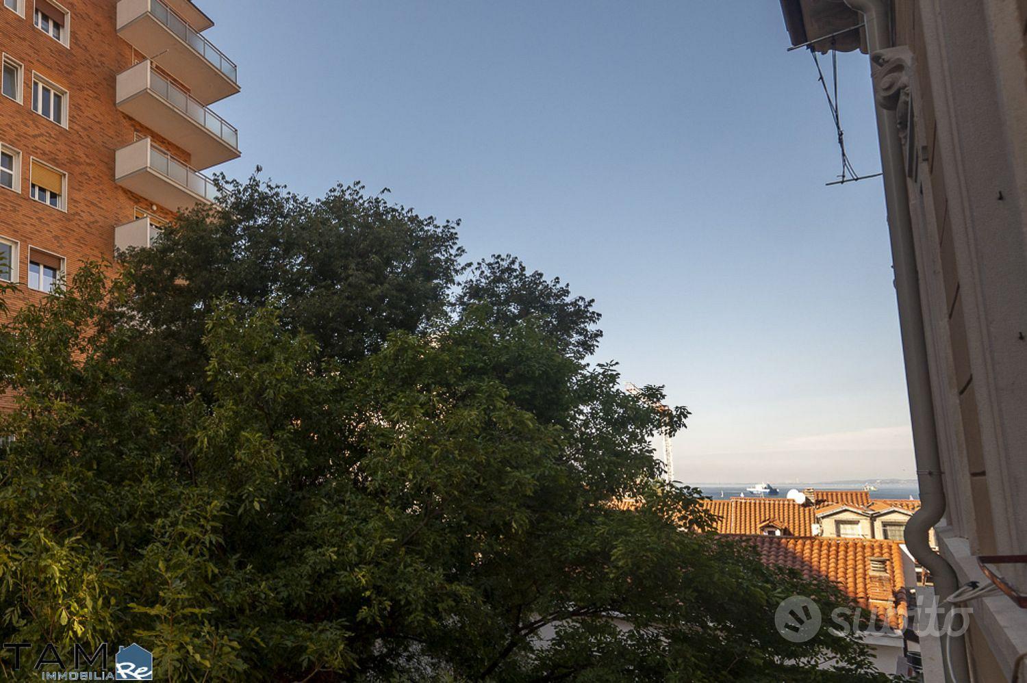 Appartamento – Trieste, Città Vecchia, Città Nuova-Barriera Nuova-San Vito-Città Vecchia - Vista 4