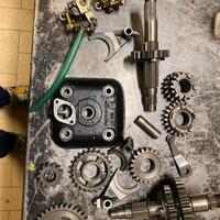 Ricambi rotax