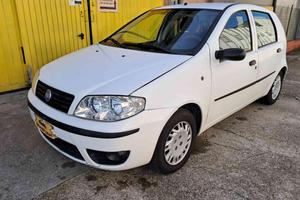 FIAT Punto 1.2 5 porte Active Natural Power NEO