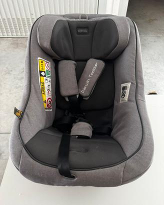 Seggiolino next stage inglesina darwin toddler