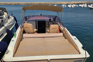 Fiart super arrow 24