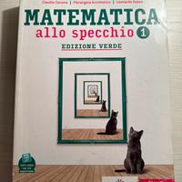 Matematica allo specchio 1 - 9788853806314A