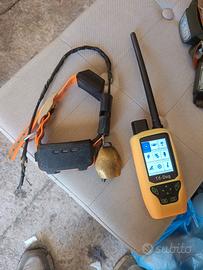 radiocollari Tr Dog 