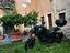 Immagine 6