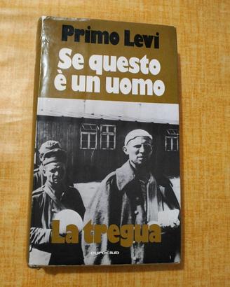 Se questo è un uomo. La tregua