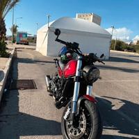 benelli  leoncino 500 2023