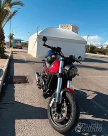 benelli  leoncino 500 2023