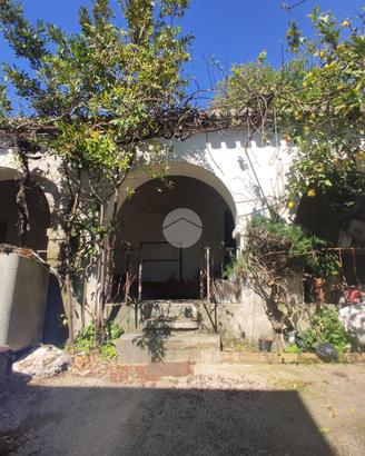 CASA DI CORTE A SAN BASILIO