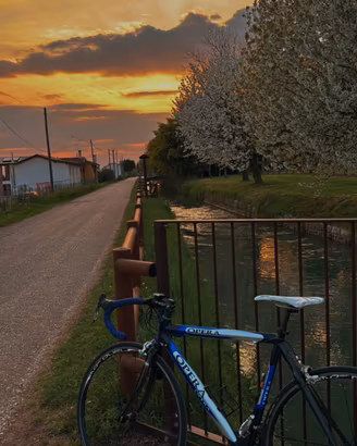 Bici da corsa