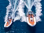Immagine 25