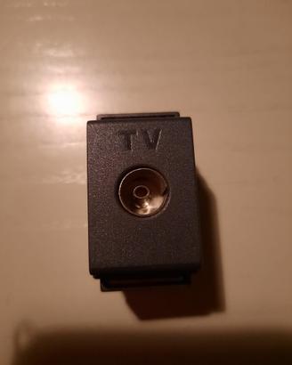 Presa tv