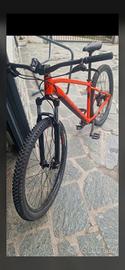 Modello Adulto (EXPL 500 29)