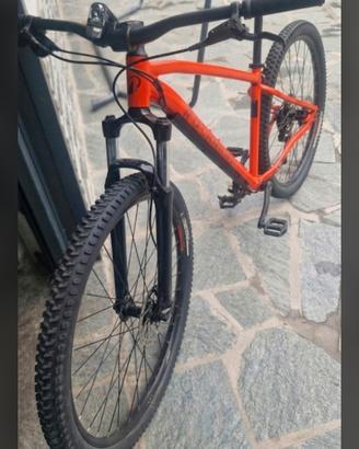Modello Adulto (EXPL 500 29)