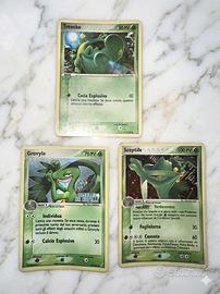 Carte pokemon Treecko-Grovyle holl-Sceptile holo