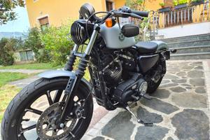  HD iron 883 2020