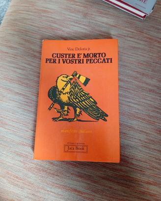 Custer è morto per i vostri peccati