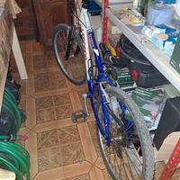 Bici MTB 