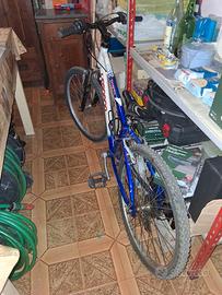 Bici MTB 