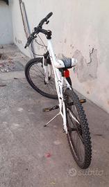 Mountain bike