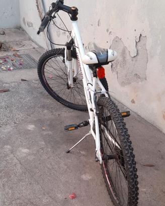 Mountain bike