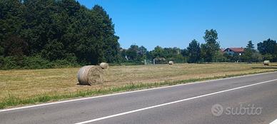 Terreno agricolo