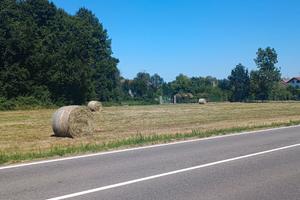 Terreno agricolo