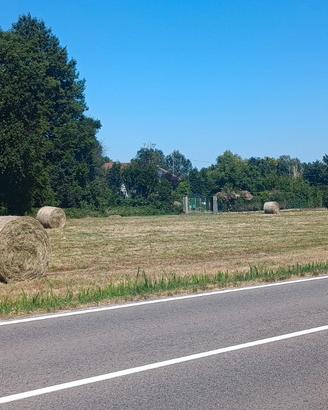 Terreno agricolo