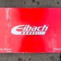 Molle Eibach Prokit Polo AW1 BZ1