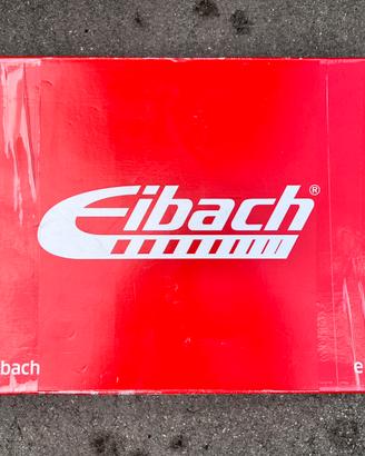 Molle Eibach Prokit Polo AW1 BZ1