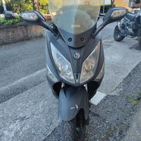 sym joy max 300i