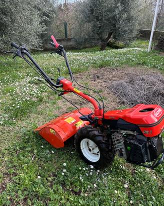 Motocoltivatore GOLDONI praticamente nuovo