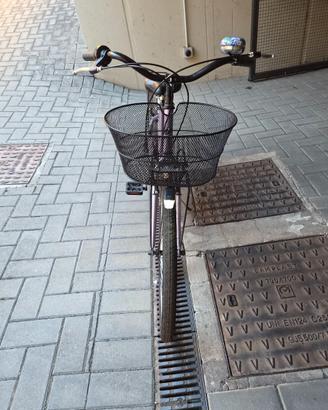 City bike donna Vagheggi Venere 26" lilla con cest