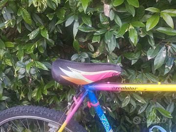 Mountain bike Colnago Excalator anni 80. 