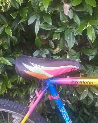 Mountain bike Colnago Excalator anni 80. 