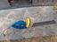 Immagine 1