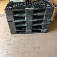 Pallet in plastica