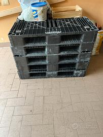Pallet in plastica